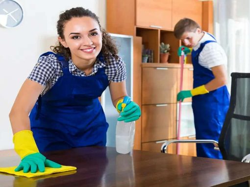 Tapijt- en meubelreiniging